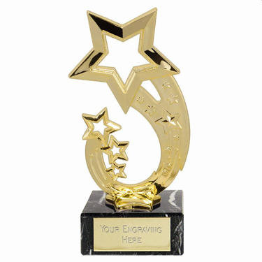 18.5cm free engraving Hope Star Series Trophy Award 