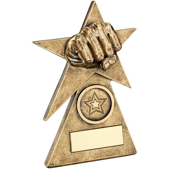 Brz/gold Martial Arts Star On Pyramid Base Trophy - (1in Centre) - 4in (102mm)