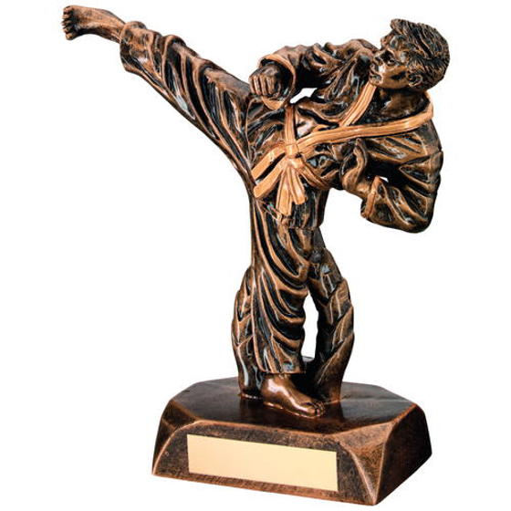 Brz/gold Resin Karate Figure Trophy - 6.5in (165mm)