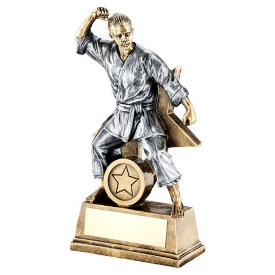 Brz/gold/pew Female Martial Arts Figure With Star Backing Trophy (1in Cen) - 6in (152mm)
