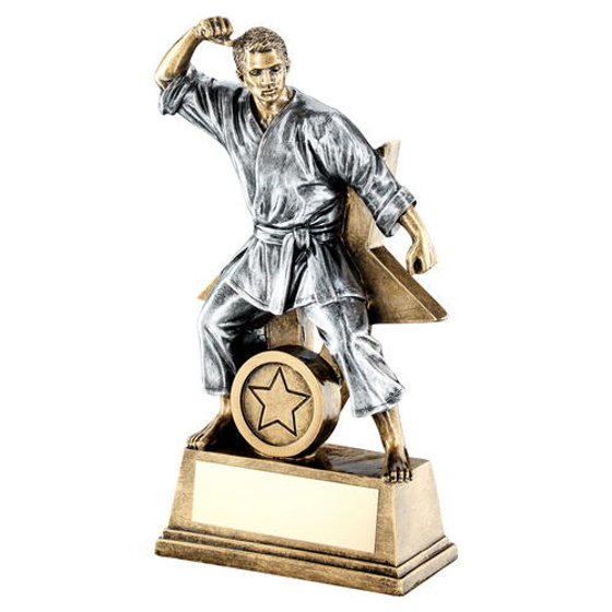 Brz/gold/pew Male Martial Arts Figure With Star Backing Trophy (1in Centre) - 6" (152mm)