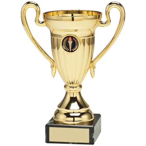 Gold Plastic Lined Cup Trophy - (1in Centre)     5.5in (140mm)