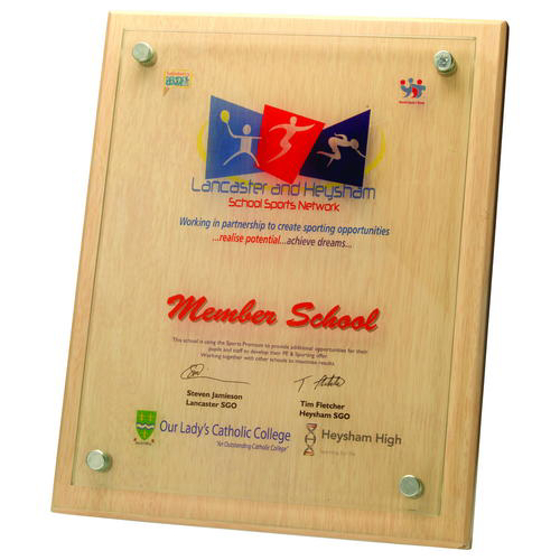 Light Wood Plaque With 6mm Glass Front - 8in x 10in (203 X 254mm)