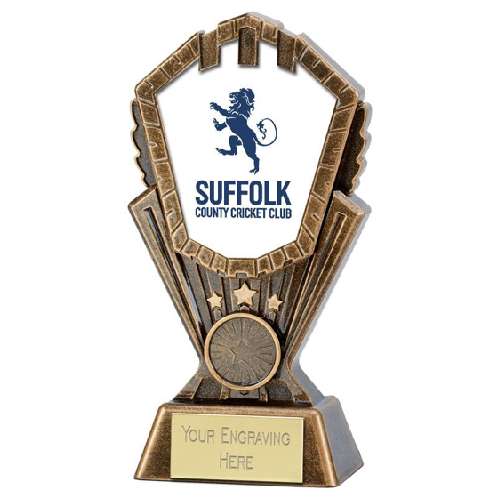 Picture of Personalised Cosmos Cricket Award (7 inch (17.5cm)