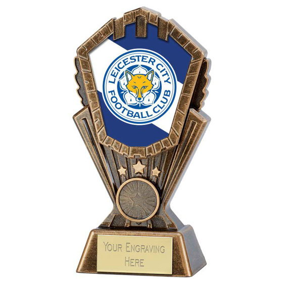 Picture of Personalised Cosmos Generic Award (7 inch (17.5cm)