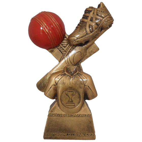 Picture of Cricket Gear Award 175mm