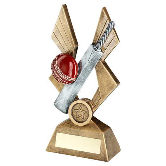 BRZ/PEW/RED CRICKET BALL AND BAT ON POINTED BACKDROP WITH PLATE (1in CEN) - 8in 203MM