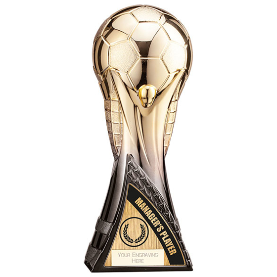 World Trophy Heavyweight Managers Player Gold/Black 250mm