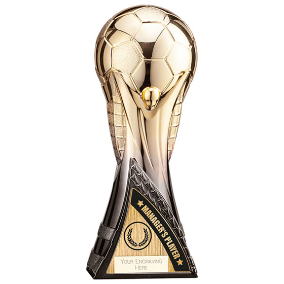 World Trophy Heavyweight Managers Player Gold/Black 270mm