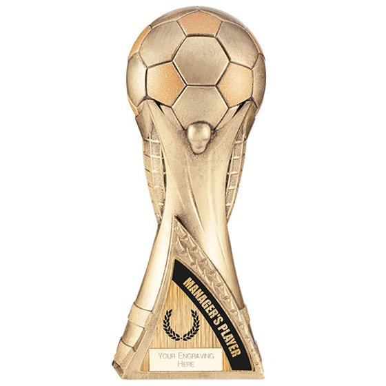World Trophy Heavyweight Managers Player Antique Gold 220mm