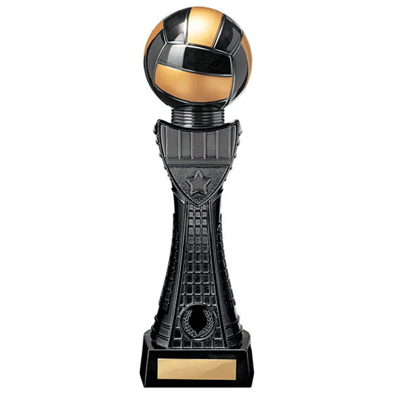 Black Viper Tower Netball Award 305mm