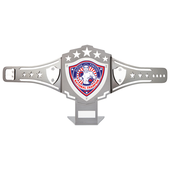 Champion Contact Sport Nickel Plated Belt 220x520mm