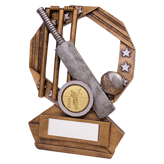 Enigma Cricket Award 140mm