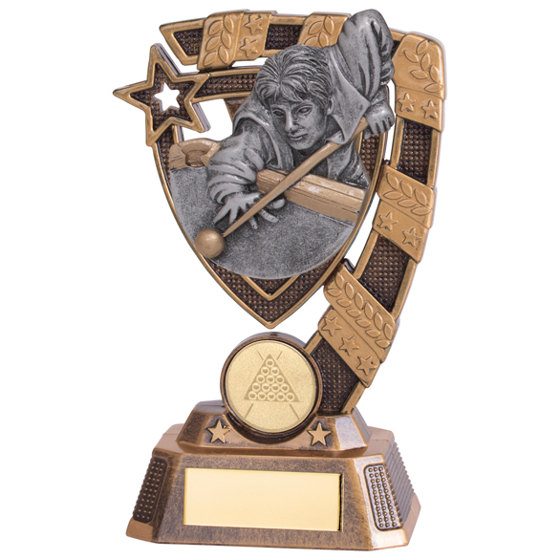 Euphoria Snooker Male Player Award 150mm