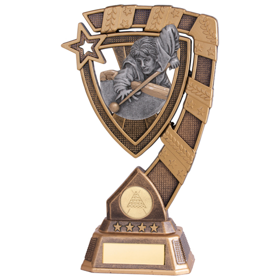 Euphoria Snooker Male Player Award 210mm