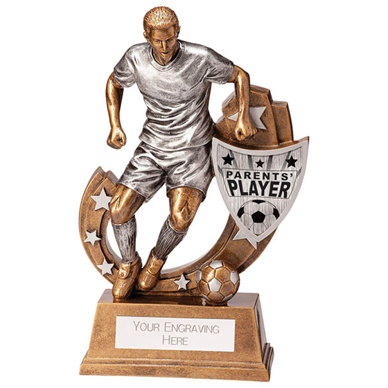 Galaxy Football Parent's Player Award 245mm