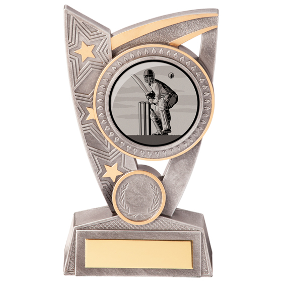Triumph Cricket Award 150mm