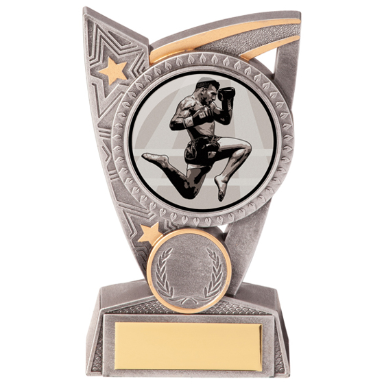 Triumph Kickboxing Award 125mm
