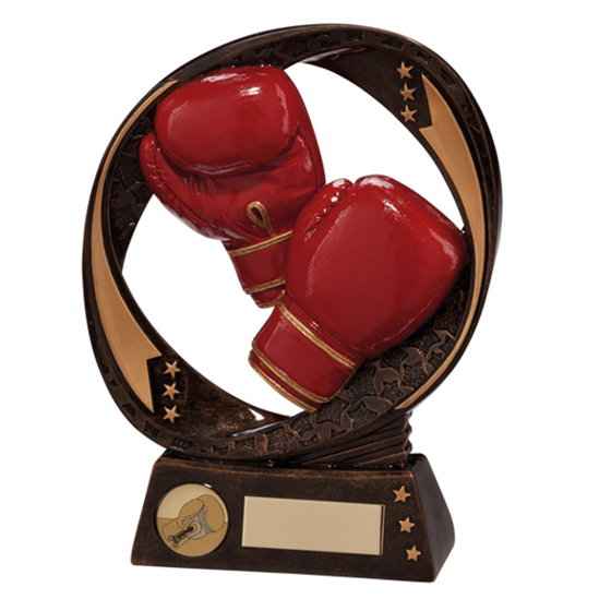 Typhoon Boxing Award 170mm