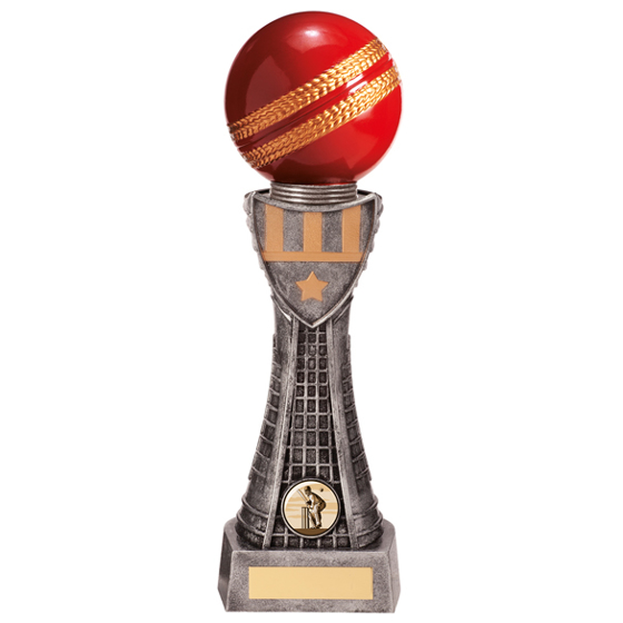 Valiant Cricket Award 305mm