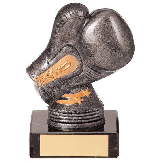 Valiant Legend Boxing Award 120mm