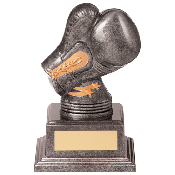 Valiant Legend Boxing Award 135mm