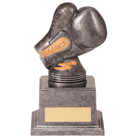 Valiant Legend Boxing Award 145mm