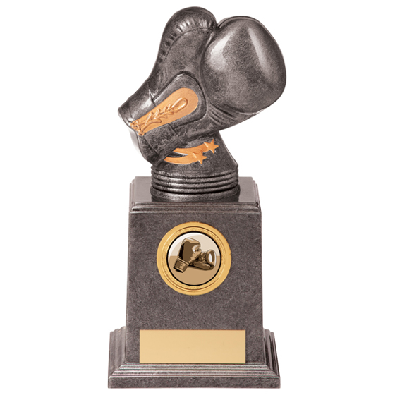 Valiant Legend Boxing Award 180mm