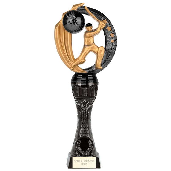 Picture of Renegade Heavyweight Cricket Award Black 250mm
