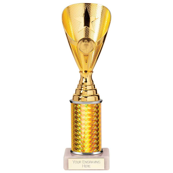 Picture of Rising Stars Plastic Trophy Gold 255mm
