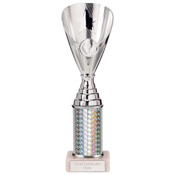 Picture of Rising Stars Plastic Trophy Silver 255mm