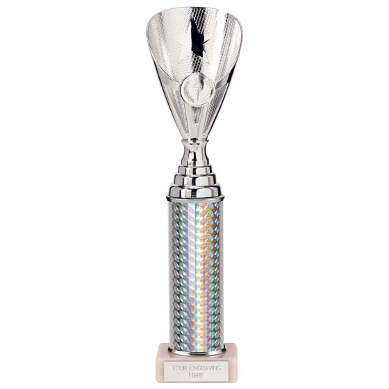 Picture of Rising Stars Plastic Trophy Silver 305mm