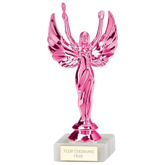 Picture of Victory Multisport Award Pink 160mm