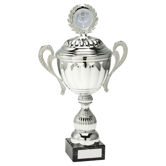 Picture of Silver 3/4 Bowl With Handles And Lid Trophy Cup With Plate (2in Cen) - 12.25in