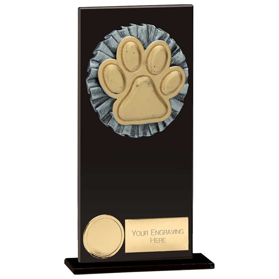 Picture of Euphoria Hero Dog Agility Glass Award Jet Black 180mm