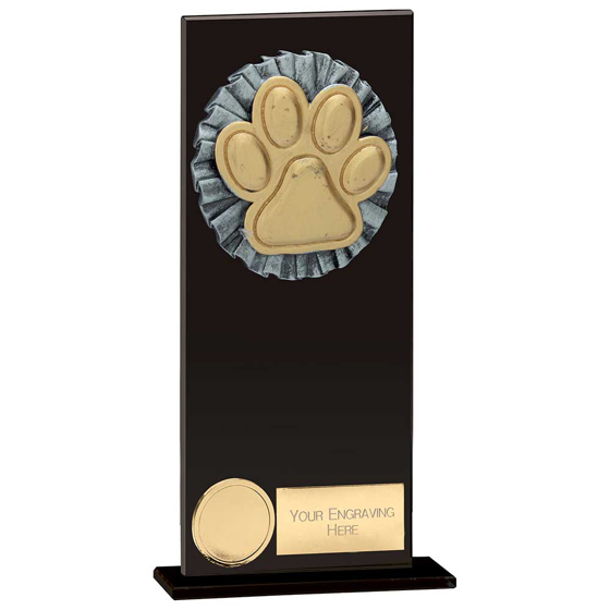 Picture of Euphoria Hero Dog Agility Glass Award Jet Black 200mm