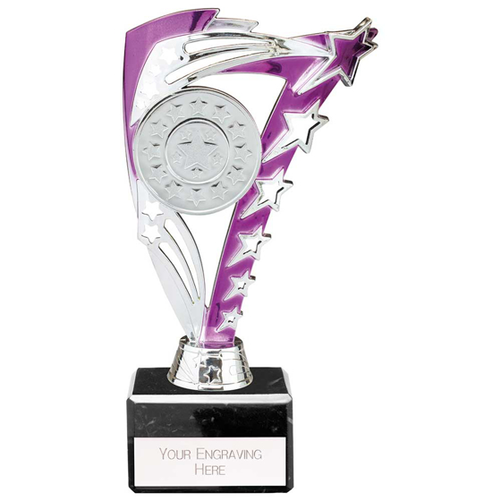Picture of Frenzy Multisport Trophy Silver & Purple 195mm