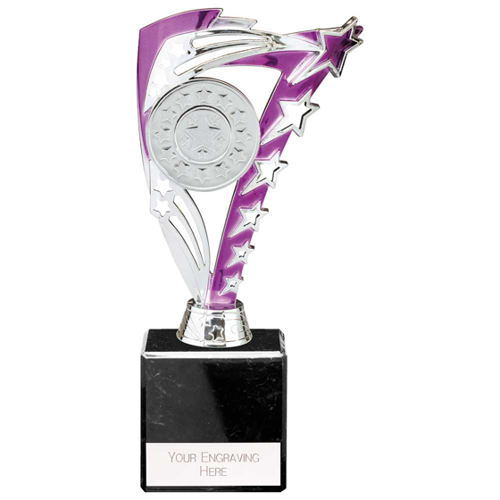 Picture of Frenzy Multisport Trophy Silver & Purple 215mm