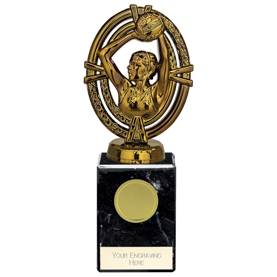 Picture of Maverick Legend Netball Award Fusion Gold 175mm