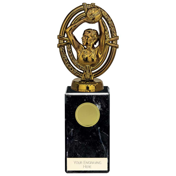 Picture of Maverick Legend Netball Award Fusion Gold 200mm
