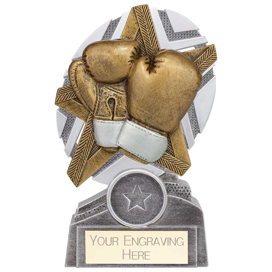 Picture of The Stars Boxing Plaque Award Silver & Gold 130mm