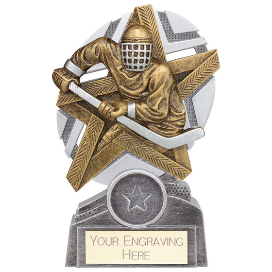 Picture of The Stars Ice Hockey Plaque Award Silver & Gold 130mm