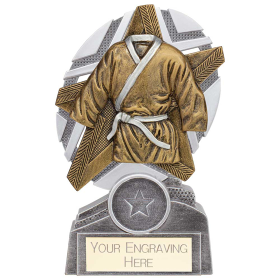 Picture of The Stars Martial Arts Plaque Award Silver & Gold 130mm