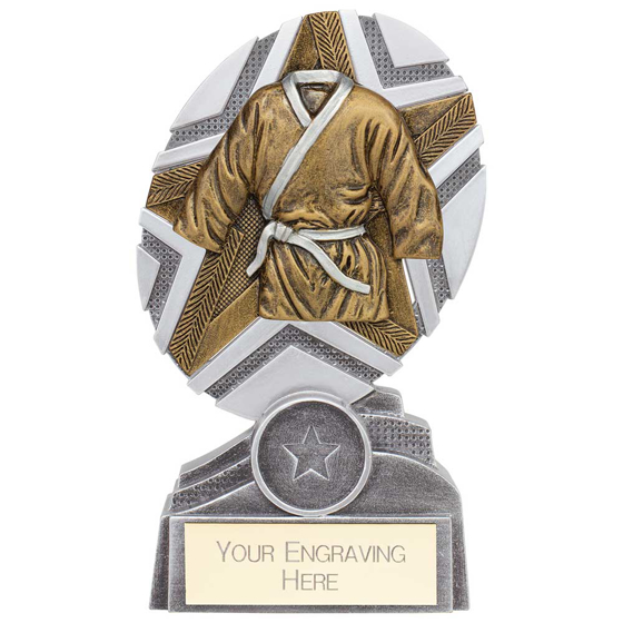 Picture of The Stars Martial Arts Plaque Award Silver & Gold 150mm