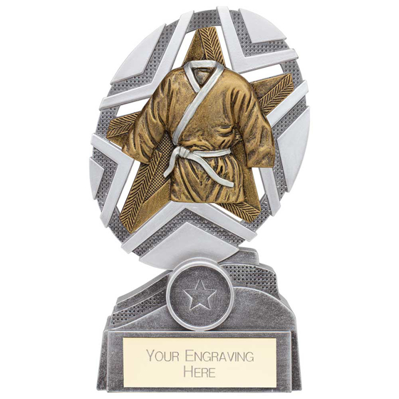 Picture of The Stars Martial Arts Plaque Award Silver & Gold 170mm
