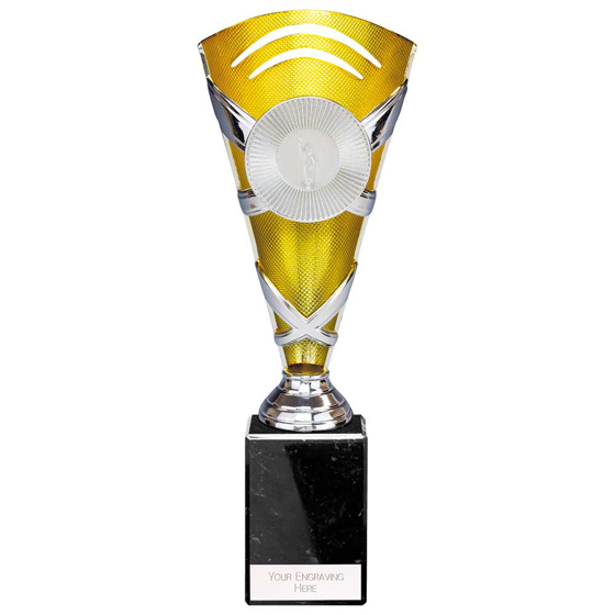 Picture of X Factors Multisport Cup Silver & Gold 260mm