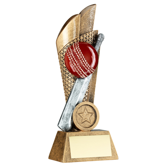 Picture of BRZ/PEW/GOLD CRICKET BALL AND BAT ON MESH BACKDROP WITH PLATE (1in CEN) - 7.25in