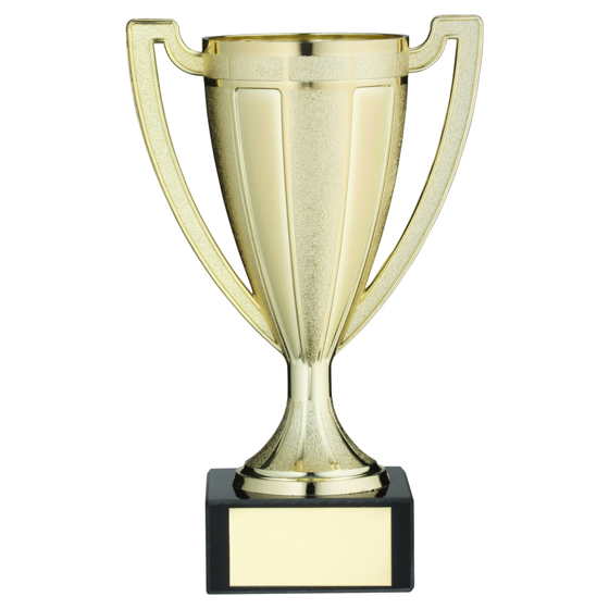 Picture of Gold Plastic Stippled Trophy Cup With Plate - 10.5in