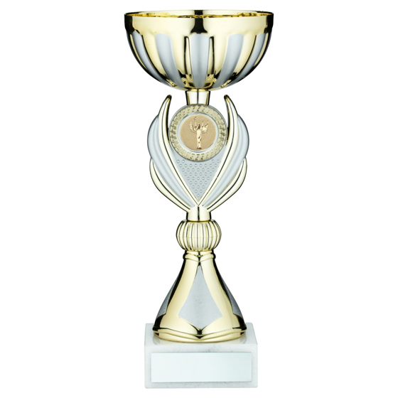 Picture of Gold/matt Silver Trophy Cup With Plate (1in Centre) - 9.75in