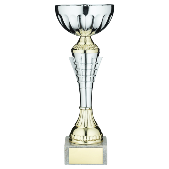 Picture of SILV/GOLD  SPIRO TROPHY CUP WITH PLATE - 8.5in